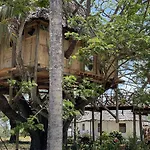 Antonio Beach Tree House Hotel & Spa