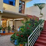 Shamanice Lodge & Apartment