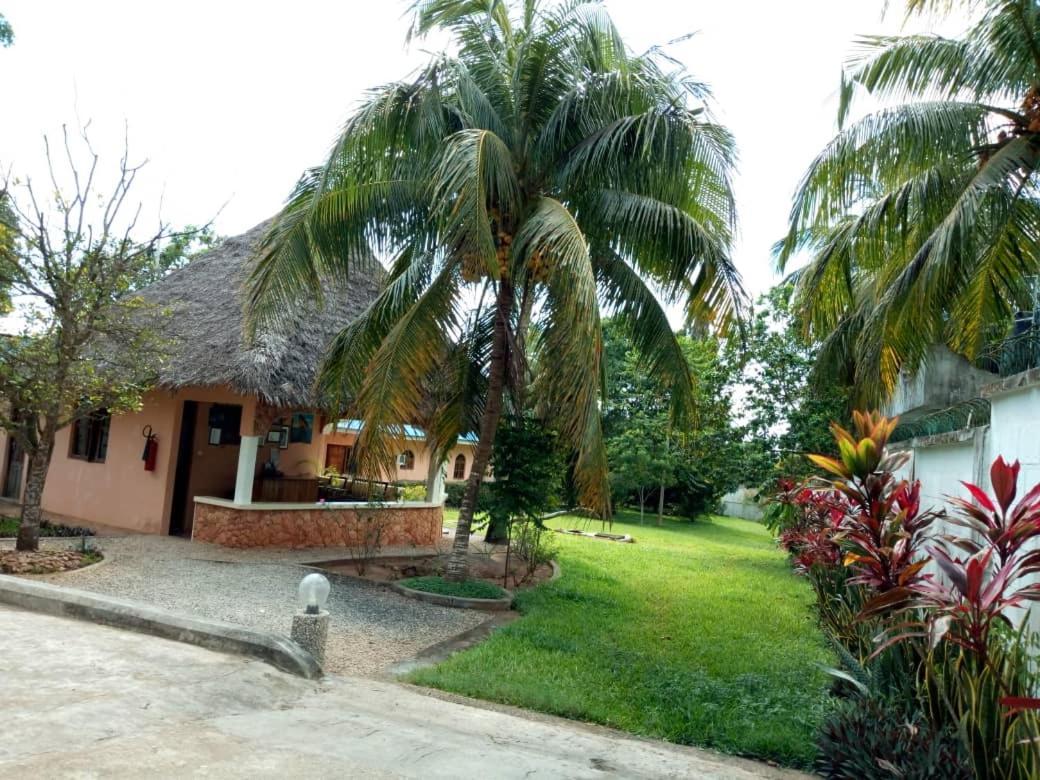 Safina Hotel 3*