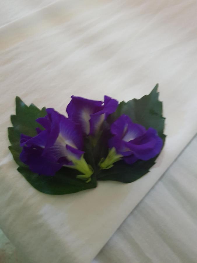Hotel Mnana 3*