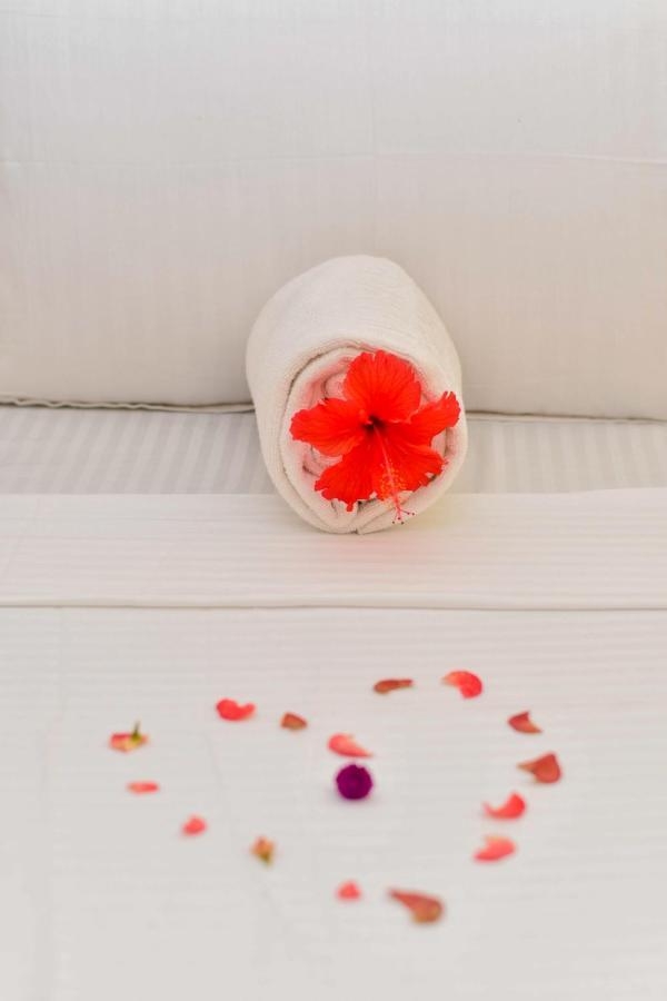Bed & Breakfast Minara Miwili - Forodhani Park *