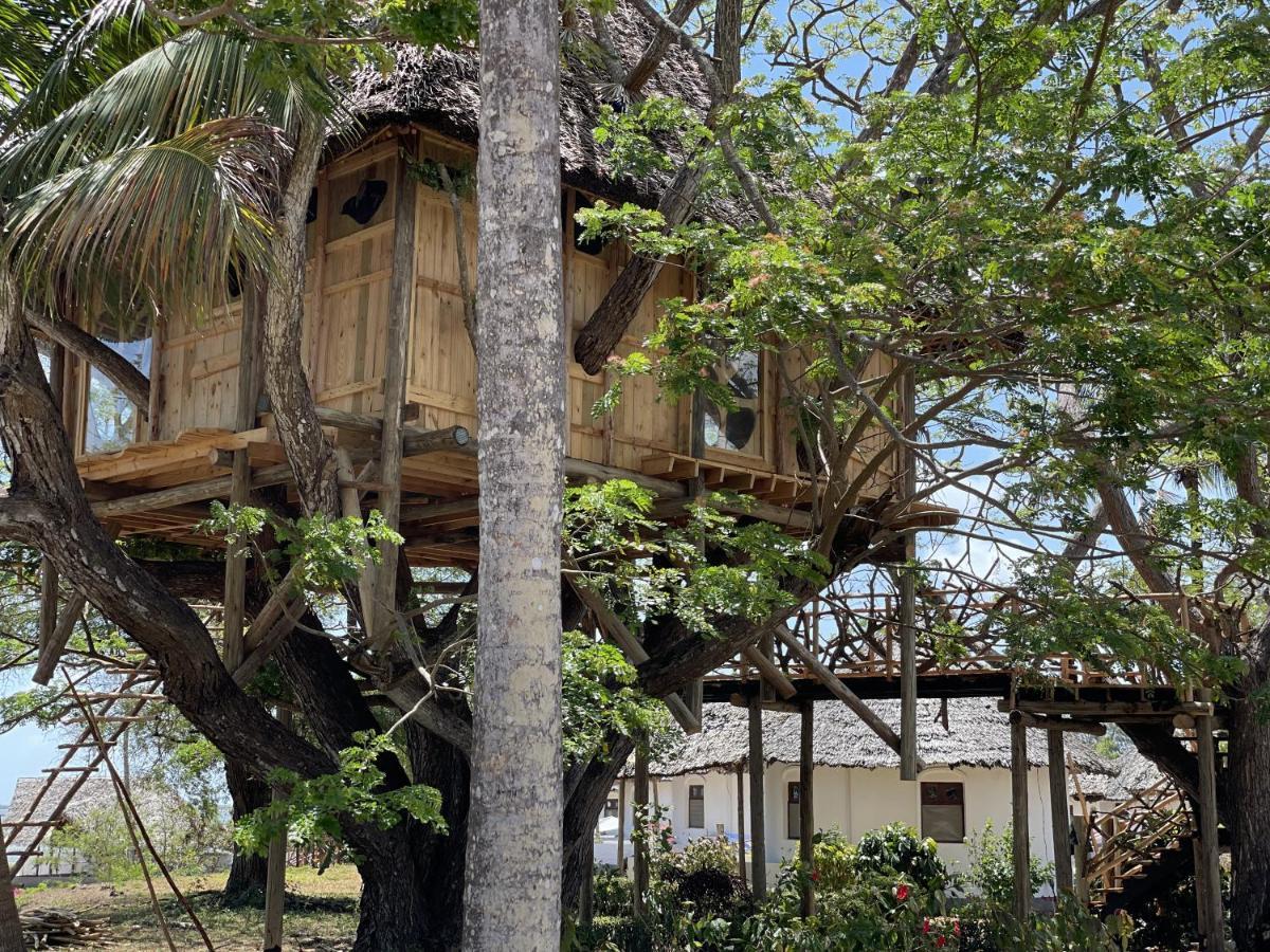 Antonio Tree House & 4*