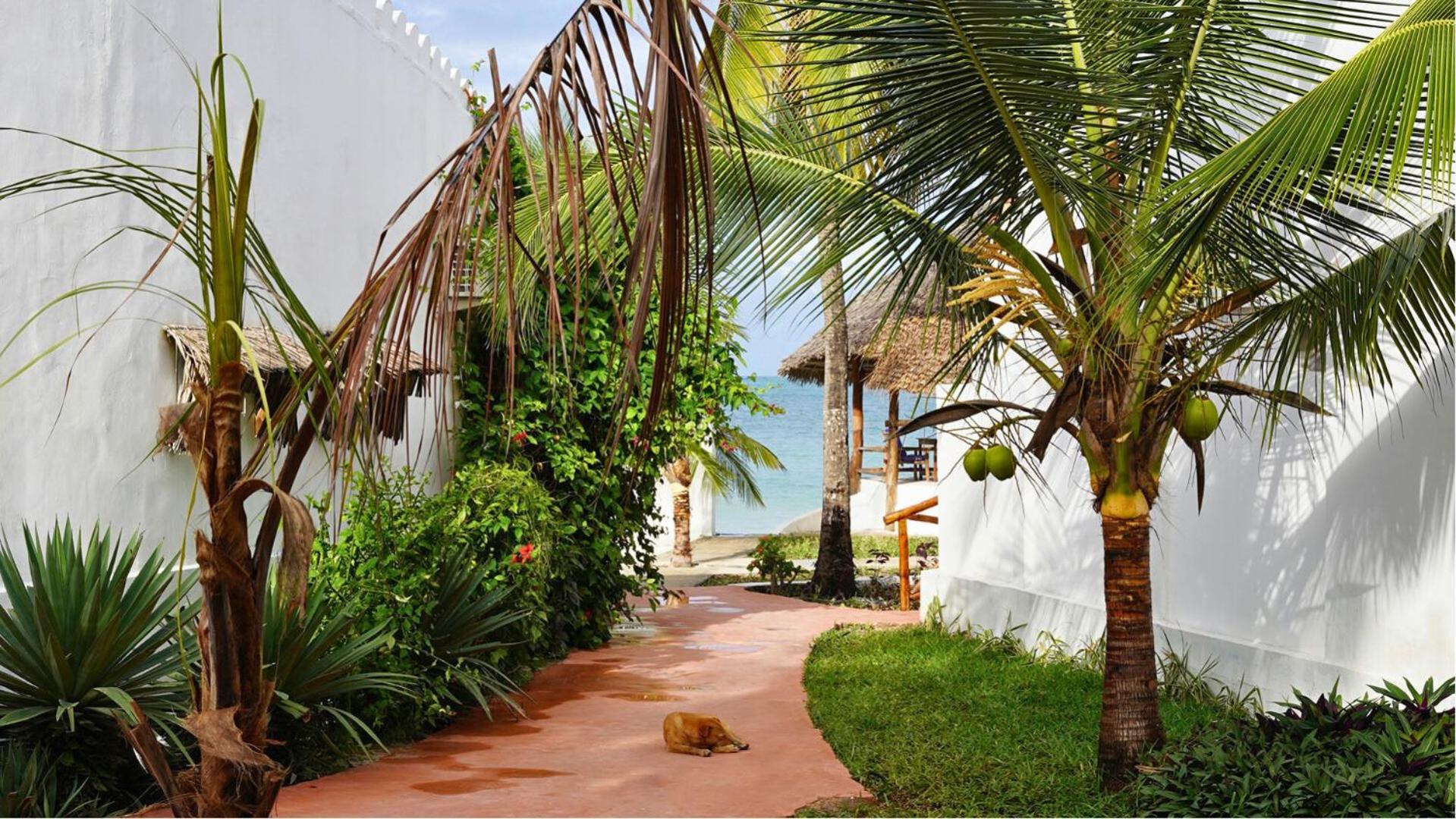 Nautilus Boutique 4*