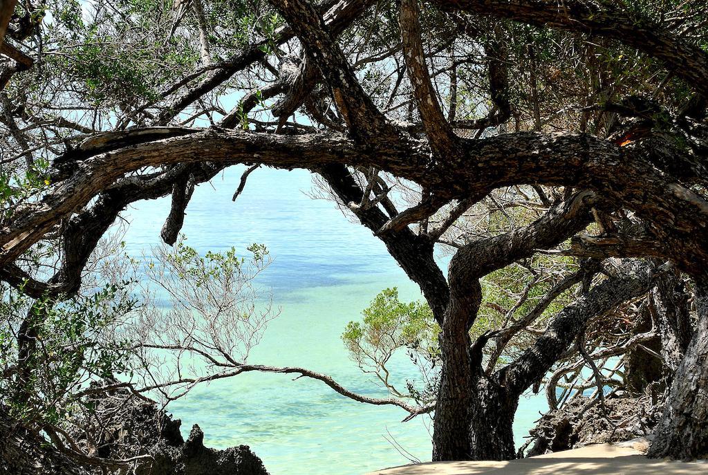Rock Zanzibar