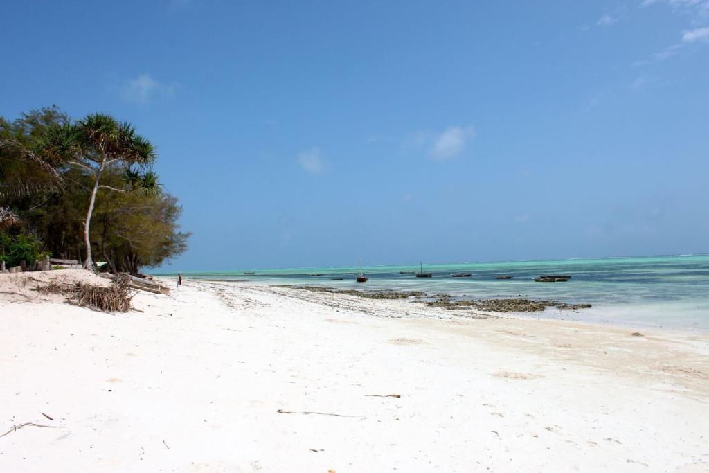 Hotel Nest Style Zanzibar 4*