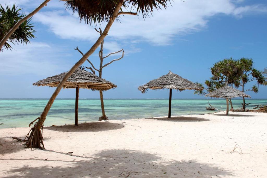 Hotel Nest Style Zanzibar 4*