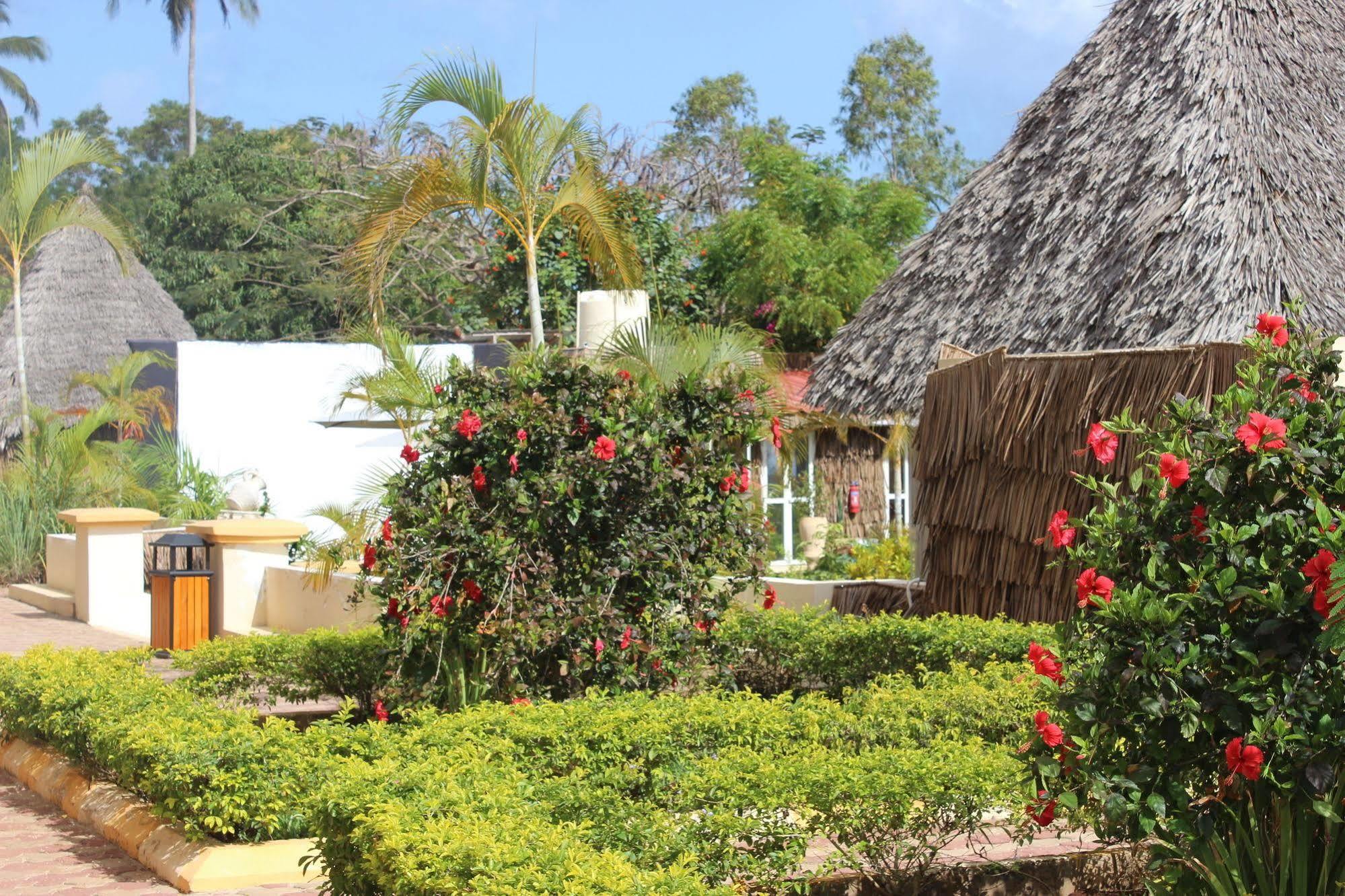 The Island Hotel 3*