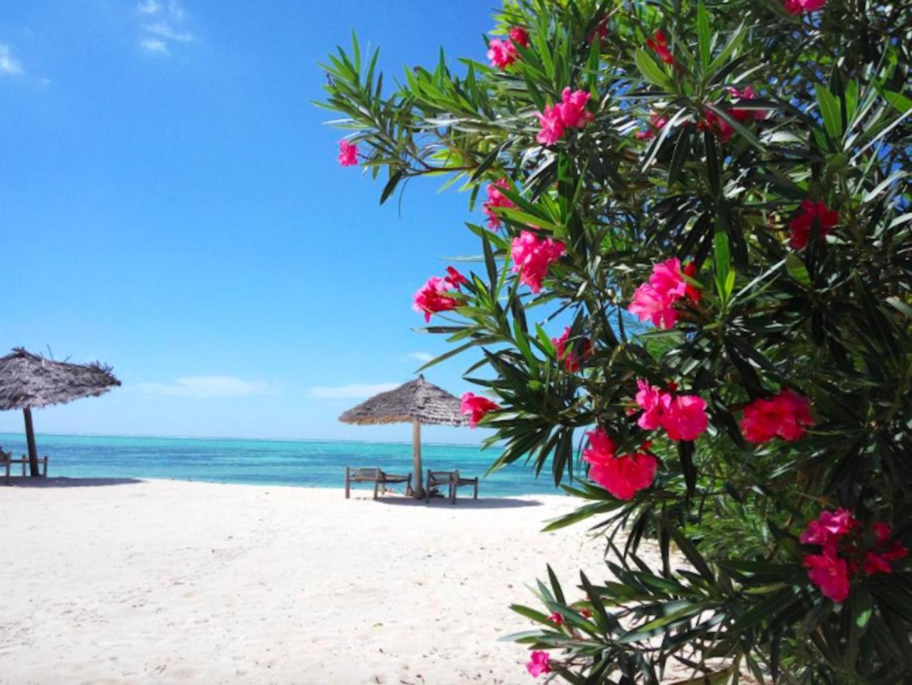 Nest Style Zanzibar Hotel 4*