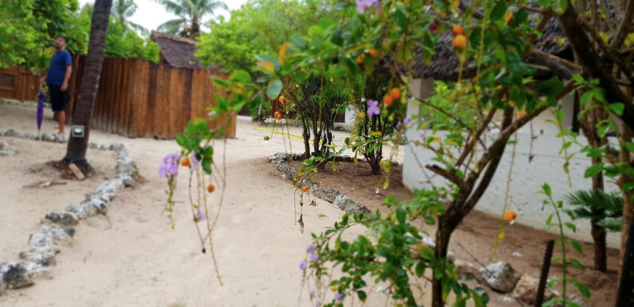 Kilimani Kwetu Beach Bwejuu