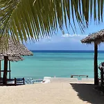 Zanzibar Blue Dolphin Bay