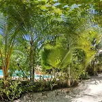 Mustapha\' S Place