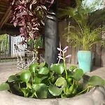 Botanica Eco Lodge
