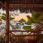 Joy Of Zanzibar