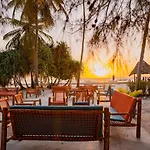 Joy Of Zanzibar