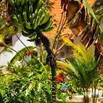 Heart Of Zanzibar Bungalows