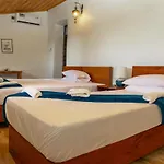 Aurelia Zanzibar