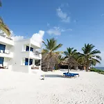 The Zanzibari