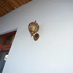 Zangreen Bungalows