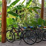 Alma Boutique Hotel