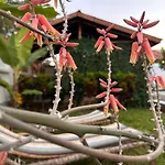 Garden Pearls