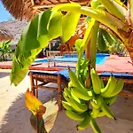 Mkeka Spice Lodge Jambiani