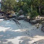 Coco Reef Ecolodge