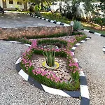 Safina Resort