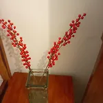 Casa Carlotta & Villa