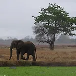 Eden Paradise