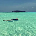 Mambo Paradise