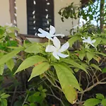 Stonefish Inn Jambiani