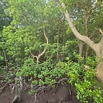 Nyumba Kuku