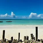 Mango Beach House