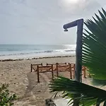 Two Palms