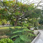 Zanzi Rest Bungalow
