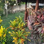 Zanzi Rest Bungalow
