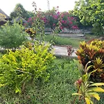 Zanzi Rest Bungalow