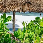 Zoi Beach House