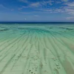 Aluna Paje