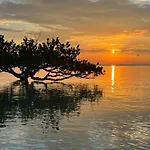 Mangrove Lodge