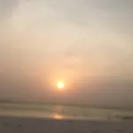 Peku Peku