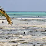 Kimte Beach Lodge