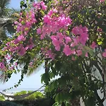 Moyo Villa Kipara