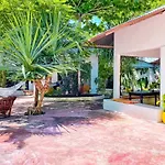 Papaya Guest House Nungwi