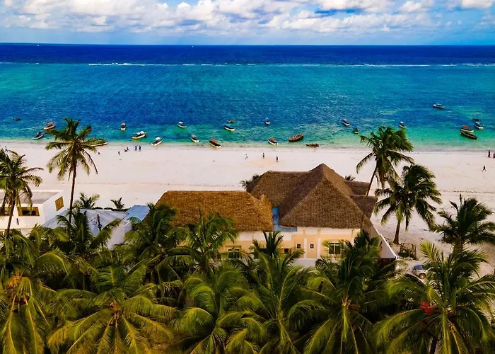 Mambo Paradise