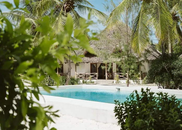 Joy Of Zanzibar