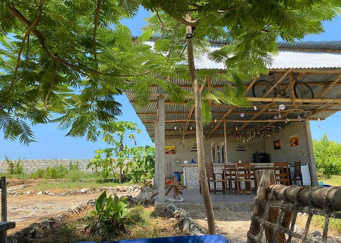 Habibis Bottle House