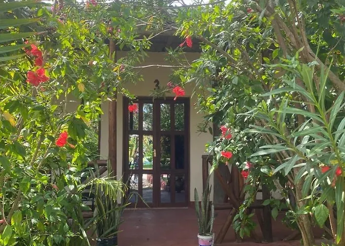 Zanzllywood Hotel And Apartments
