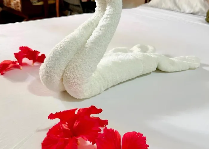 Zanzllywood Uroa Beach Suites Hotel Apartment
