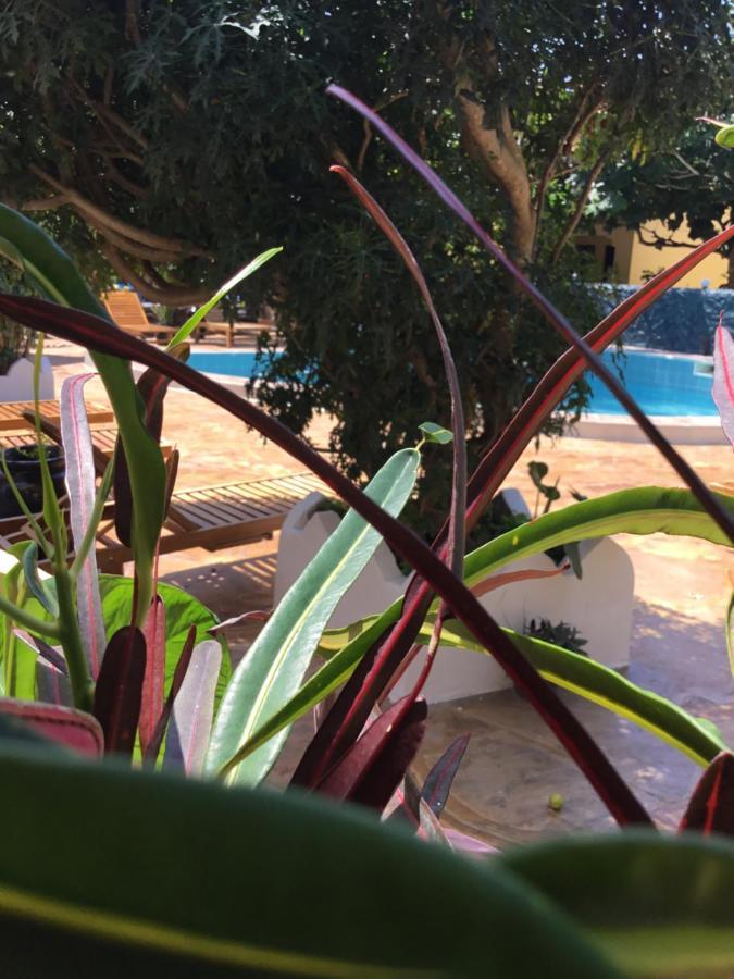 Resort Goasis Zanzibar Nungwi